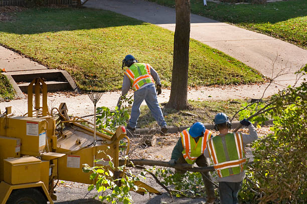 Soil Testing and Treatment in North Zanesville, OH